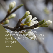 sortir de sa zone de confort